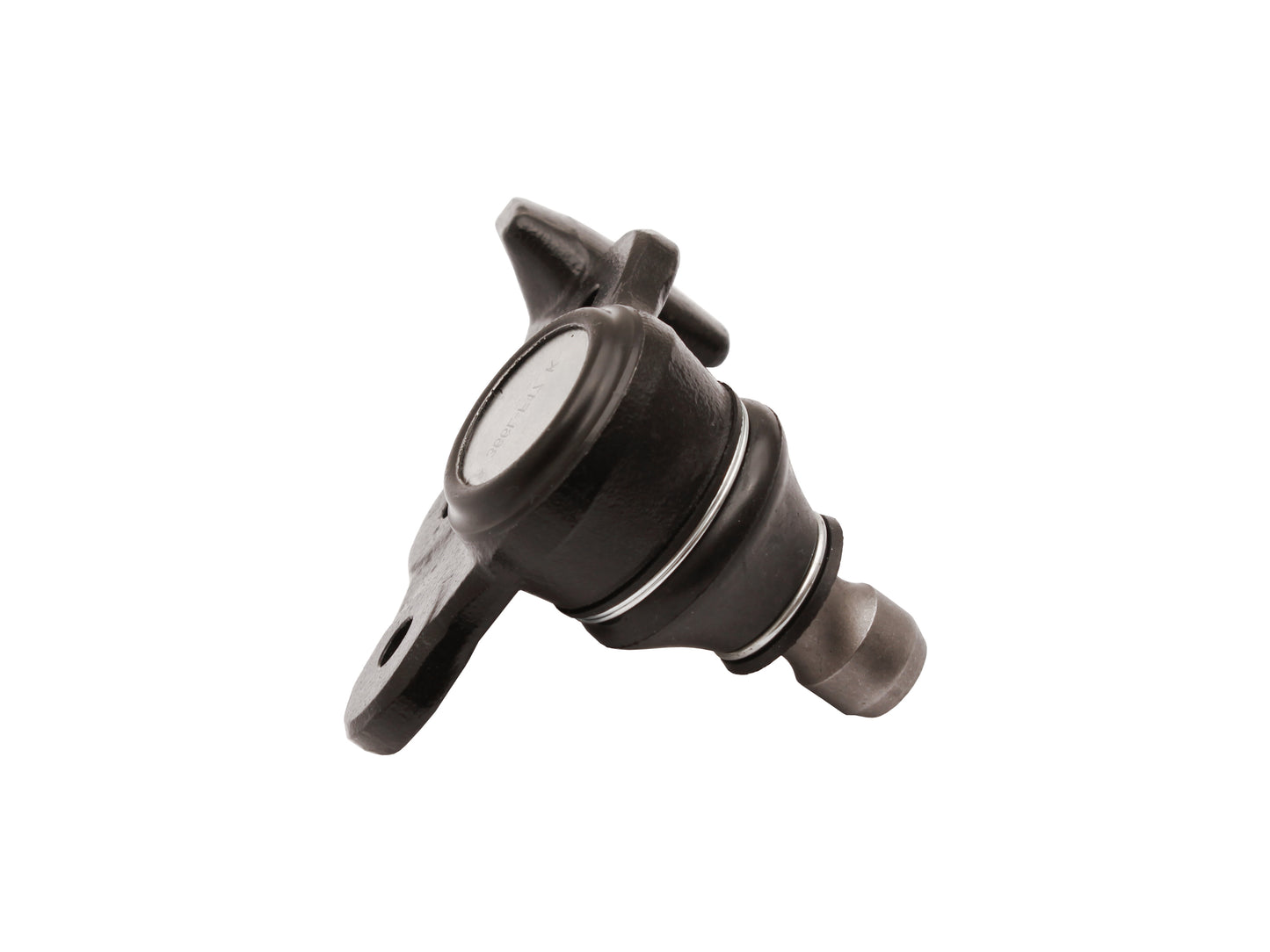 Ball Joint Lower RH VR VS Commdore - BJ366R