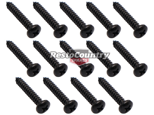 Scuff Plate Screw Kit For XD XE XF (14) - DSS2003