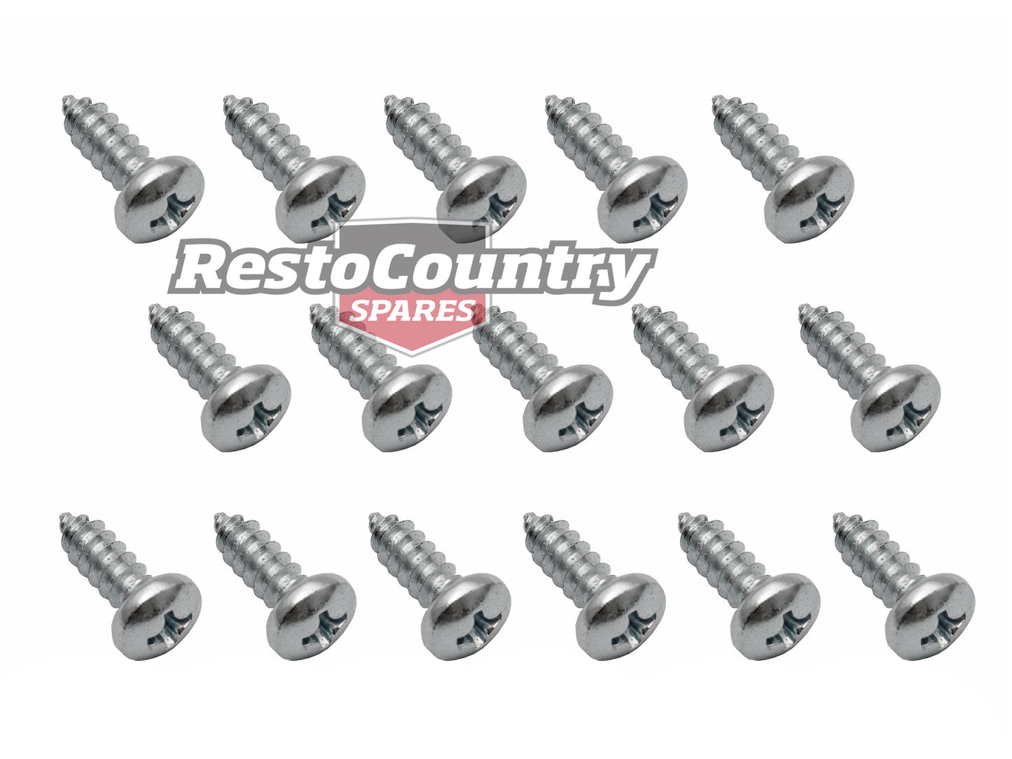 Screw Kit HK HT HG Monaro Door Belt - FK1183