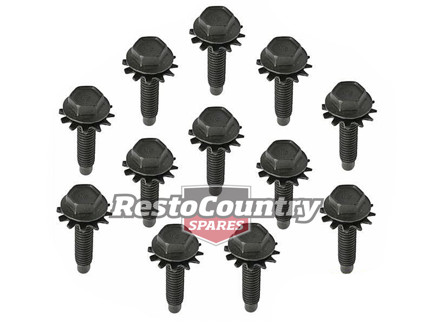 Door Hinge Bolt Kit XR XT XW XY ZA ZB ZC ZD (One Door 12 Pcs) - FK2006