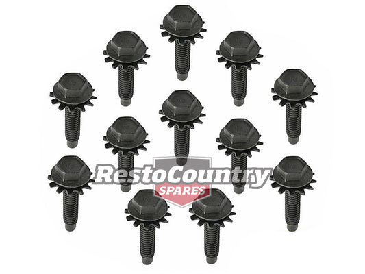 Door Hinge Bolt Kit XR XT XW XY ZA ZB ZC ZD (One Door 12 Pcs) - FK2006