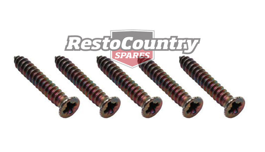 Dash Fascia Screw Kit (concours) XW XY ZC ZD - FK2014
