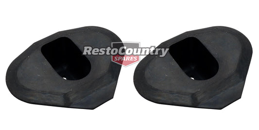 Seal Front Door Check Strap Kit 2pc VB VC VH VK VL Commodore - H1472