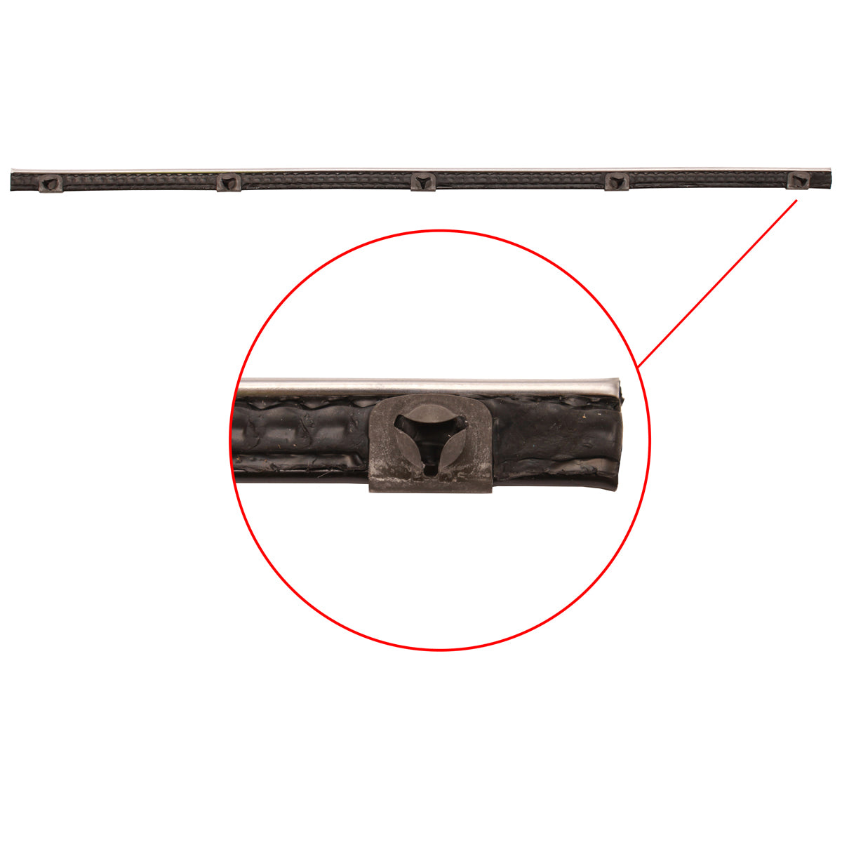 Door Belt 48 FJ Front LH Outer or RH Inner - RDB1011