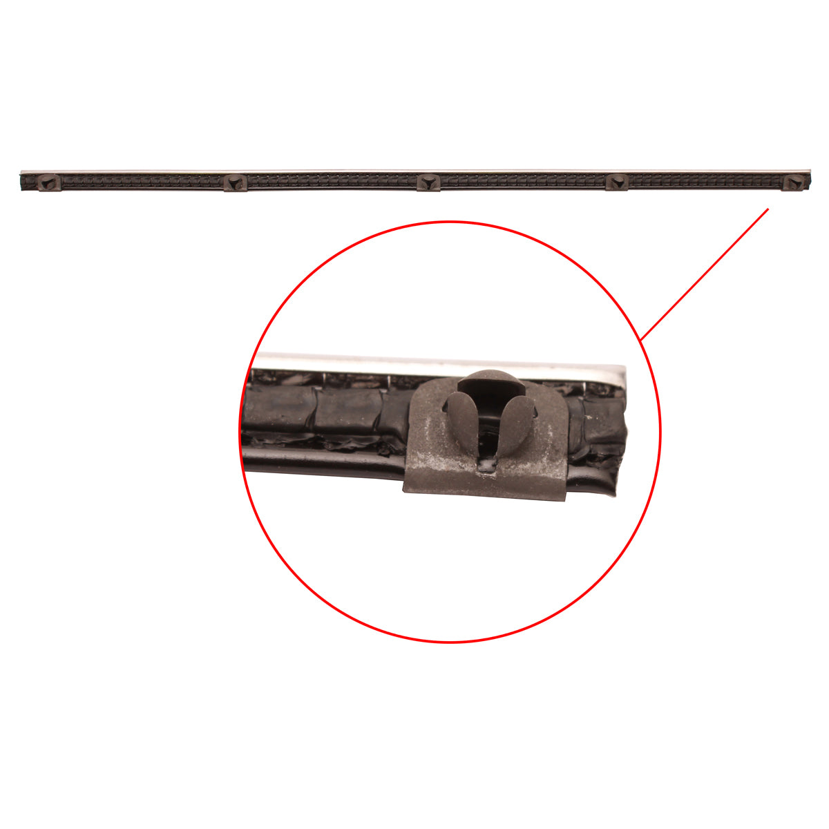 Door Belt 48 FJ Rear Inner or Outer - RDB1012