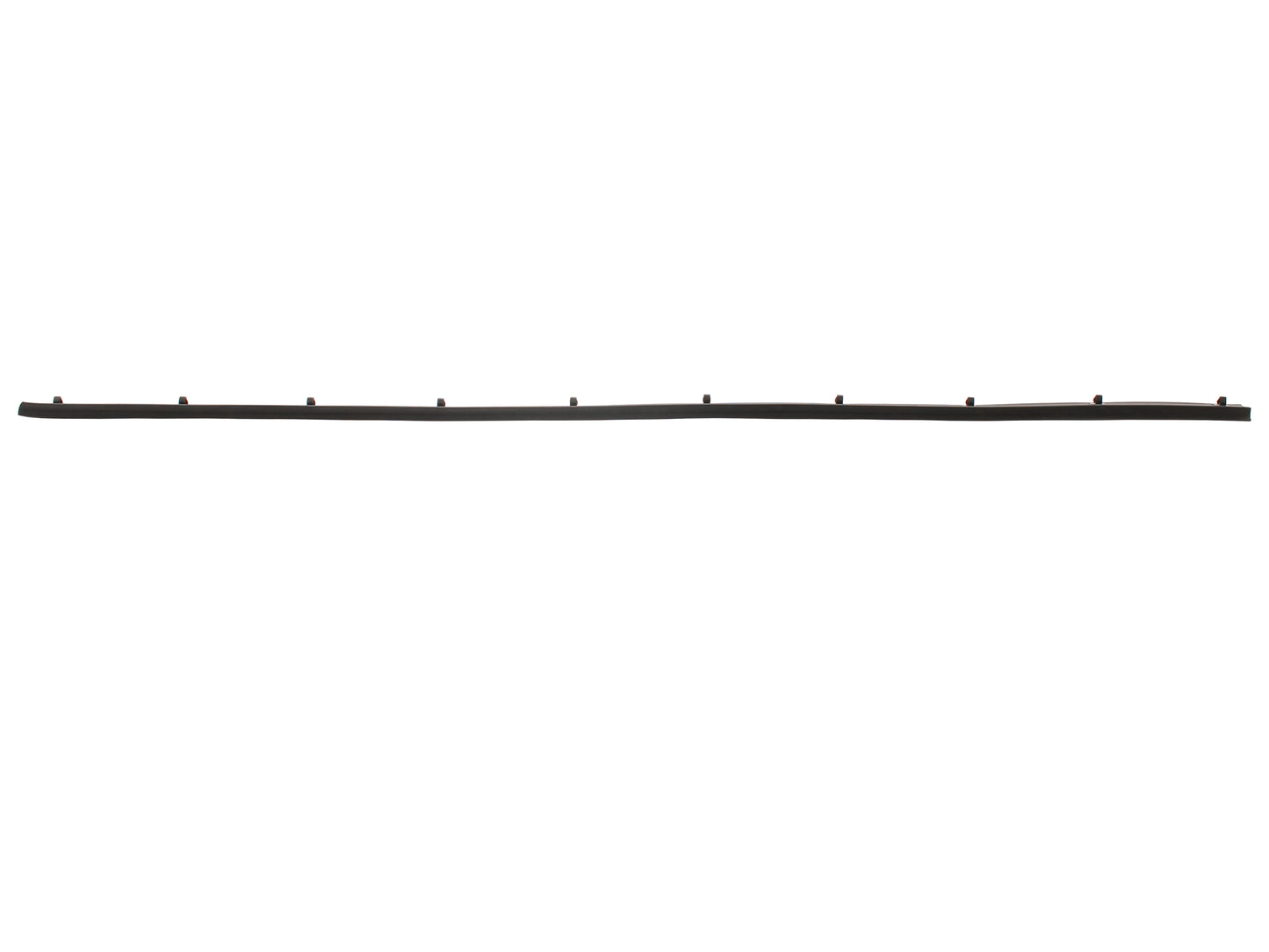 Door Belt LX UC Coupe Front Inner or Outer - RDB1064