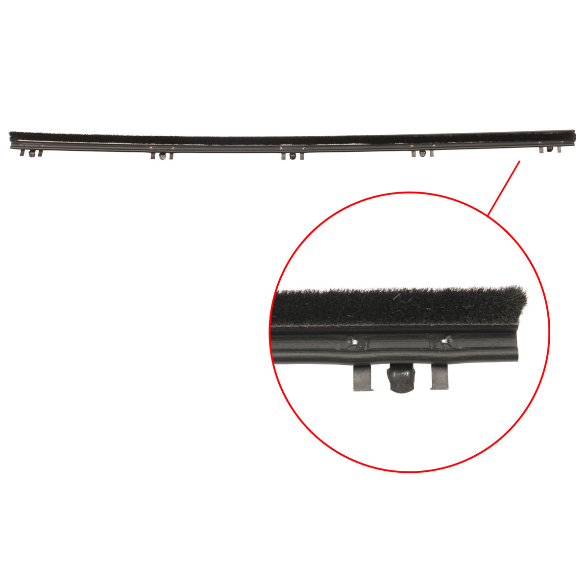 Door Belt Valiant VE-VG LHF Or RHF Inner Exc Coupe - RDB5005