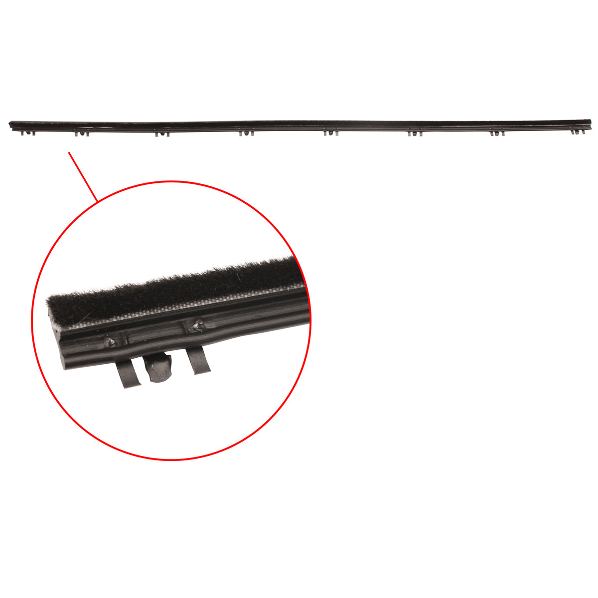 Door Belt Valiant VE VF VG VIP RHF Inner No Quarter - RDB5076