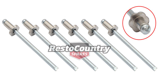 Rivet Kit ID Plate Rosette Set Of 6pcs VN VQ VG VP VR VS VT VX VY VZ WH WK WL - RV1000