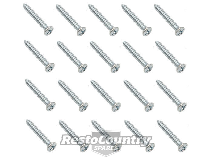 Universal Screw Kit Oval Head Cr Rec Tap 6 X 1" - ST0028