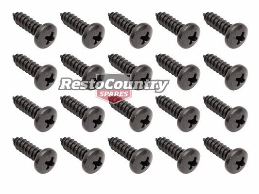 Universal Screw Kit Pan Head Black (20pc) Various Commodore - ST0066