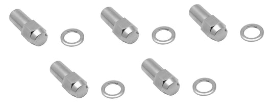 Wheel Nut & Washer XY GTHO Cobra Bathurst (5pcs) - WN20005